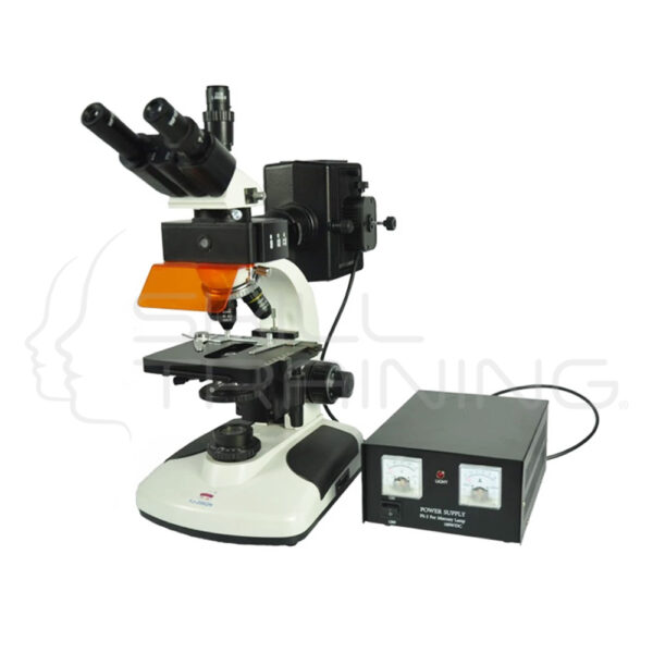 Epi-fluorescent Microscope - Imagen 1