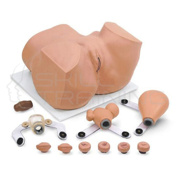 Eva Gynecological Training Manikin - Imagen 1