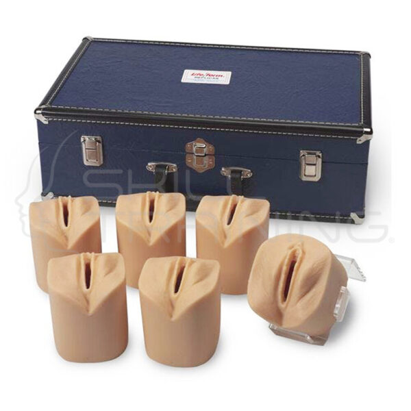 Simulador de Dilatación y Borramiento Cervical Life/form - Imagen 1
