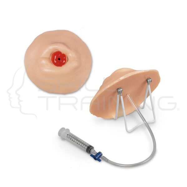 Modelo de Entrenamiento de Cuidado de Ostomía/retraído - Imagen 1