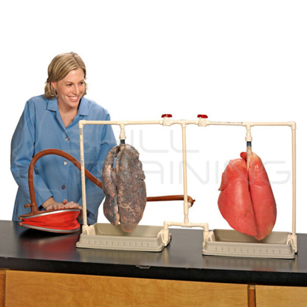Bioquest Dual Lungs Comparison Kit - Imagen 1