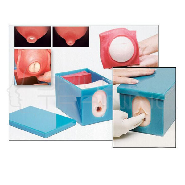 Fetal Monitor & Labor Progress - Imagen 1