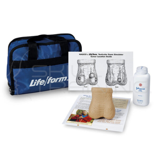 Nasco Life/form Testicular Exam Simulator - Imagen 1