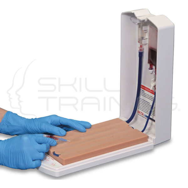 Four-Vein Venipuncture Training Aid - VATA - Imagen 1
