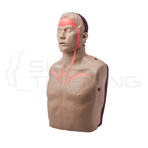 Brayden Adult CPR Manikin - Imagen 1