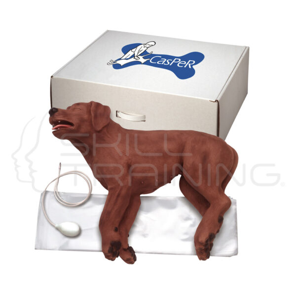 Casper the CPR Dog - Imagen 1