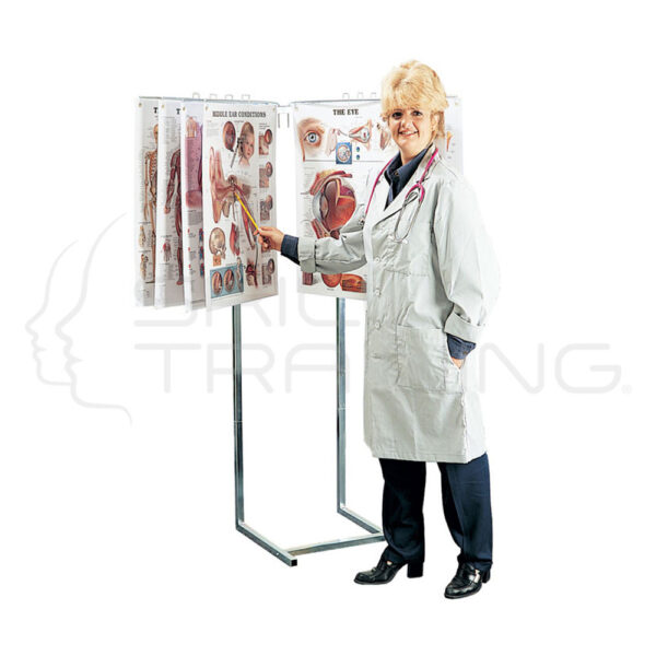 Space-saver Chart Display Stand - Imagen 1