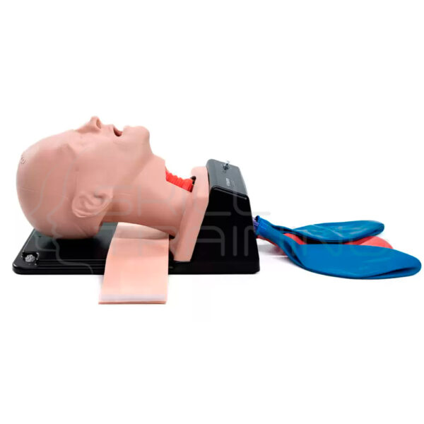 Entrenador de Cricotiroidotomía para Emergencias y Vías Aéreas - Imagen 1