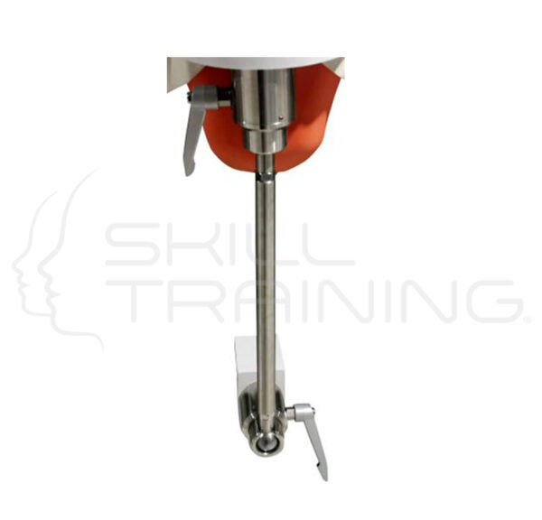Soporte para Modelo Simulador Dental Compatible Nissin - Imagen 1