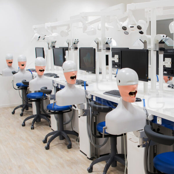 Dental Training Simulator para Estudiantes - Imagen 1