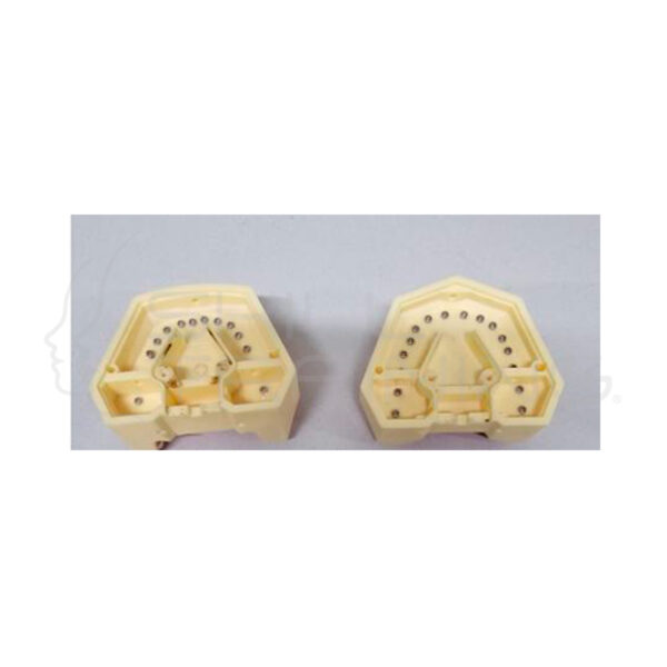 Parte Completa del Arco Dental Maxilar Superior - Imagen 1