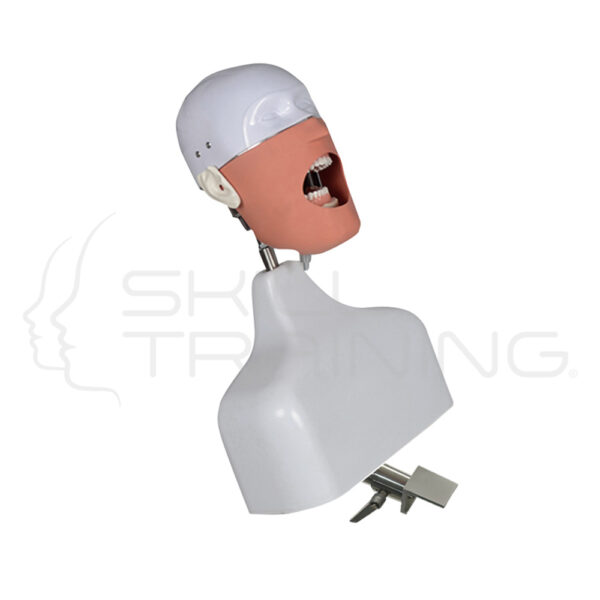 Simulador Dental con Torso y Fijacion Compatible Frasaco - Imagen 1