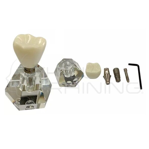 Implant Practice Model - Imagen 1