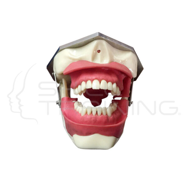 Modelo para Anestesia Oral y Extracción de Dientes con Sensores - Imagen 1
