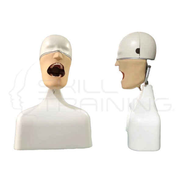 Simulador Dental con Torso y Fijación - Compatible Nissin - Imagen 1