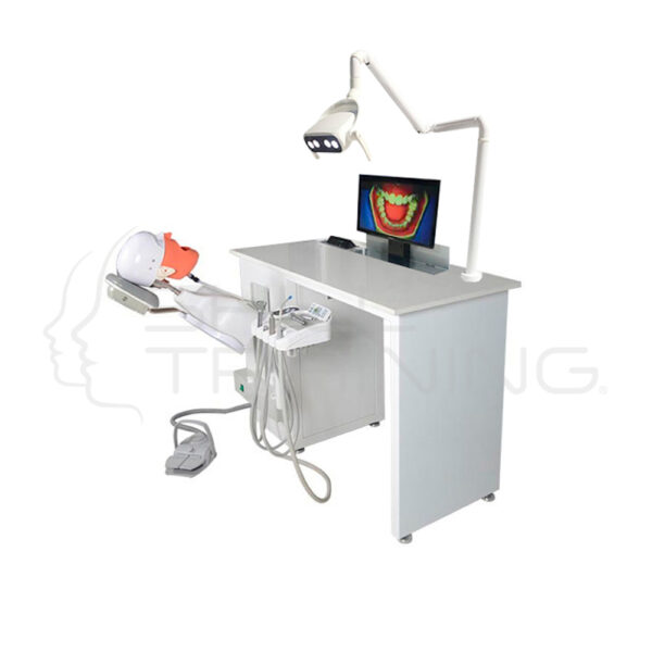 Simulador Dental Completo con Torso Compatible Nissin - Imagen 1