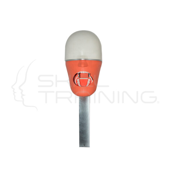 Simulador Dental Simple Compatible Frasaco - Imagen 1