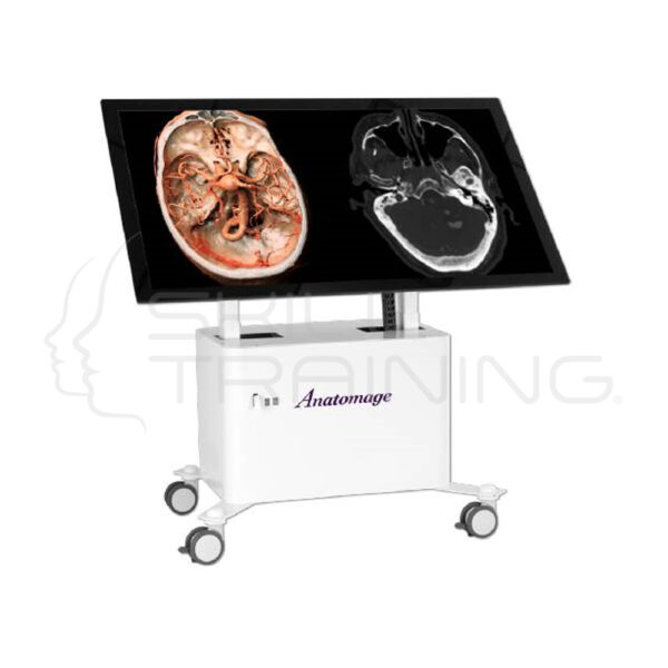 Anatomage Table Clinical - Imagen 1