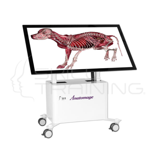 Mesa Anatómica Anatomage Veterinario - Imagen 1