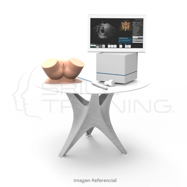 Virtamed Gynos™ Transvaginal Obstetric Ultrasound Module - Imagen 1