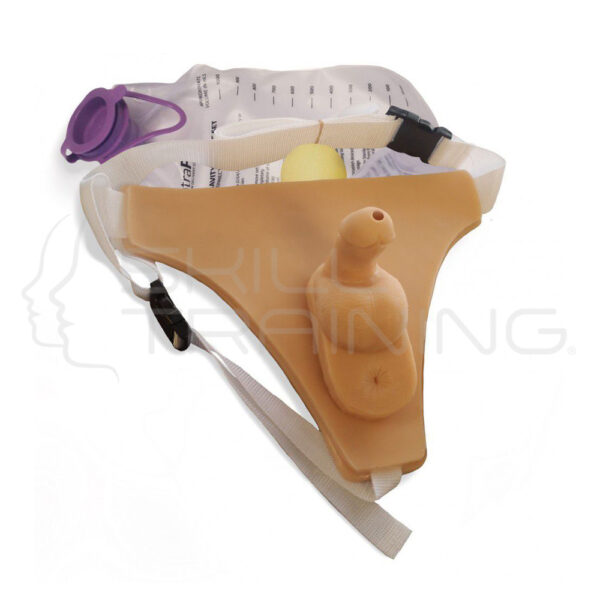 Órgano Masculino Genital Urinario con Correas - Imagen 1