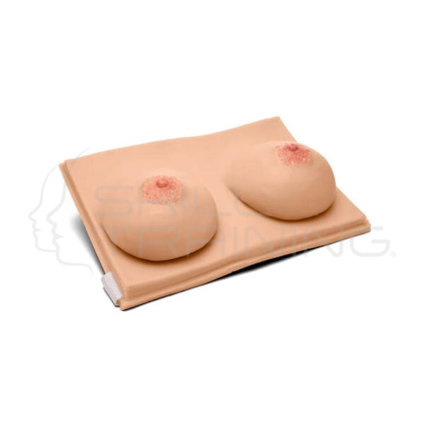 Pechera Lactancia Materna, Modelo Base - Imagen 1