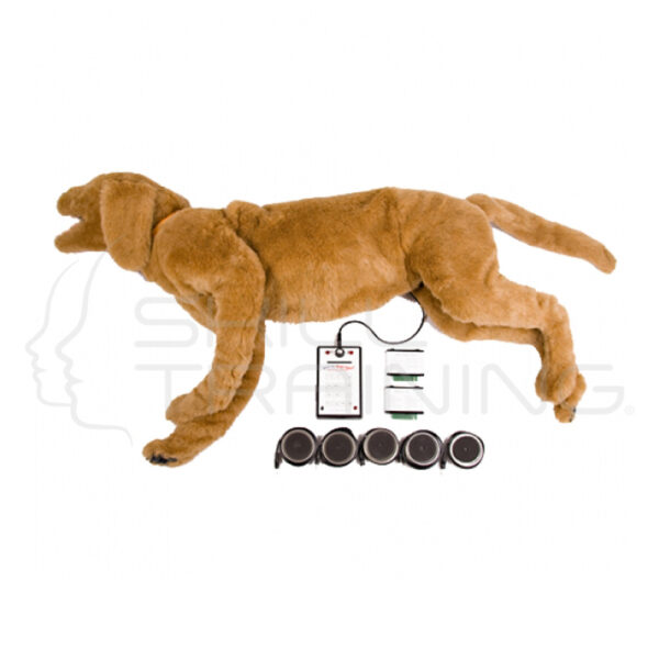 Goldie K9 Breath/heart Sound Simulator - Imagen 1