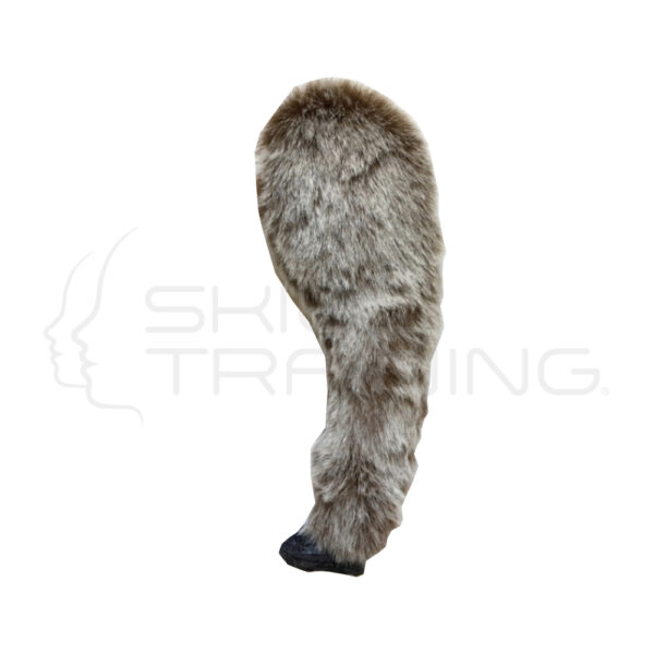 Entrenador IV de Pierna Delantera Canina K9 - Imagen 1