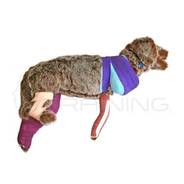 Simulador de Vendaje Canino Rufus - Imagen 1