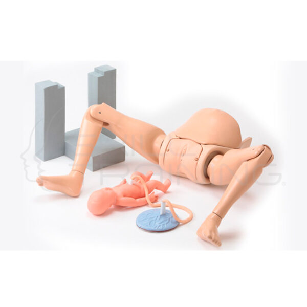 Asistente de Parto Tipo Ii Hiroko - Imagen 1
