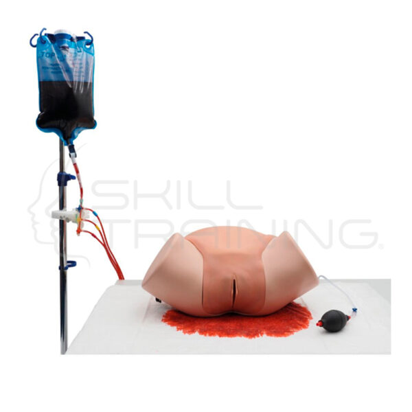 Simulador de Hemorragia Post Parto Pph - Imagen 1