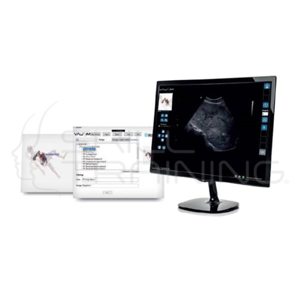 Vaussim - Modulo Gineco/obstetrico - Imagen 1