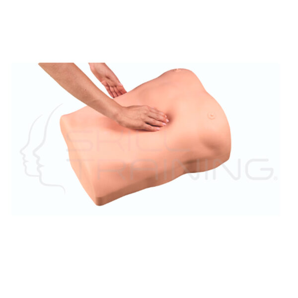 Simulador de Palpacion Abdominal con Tecnologia Xr - Imagen 1