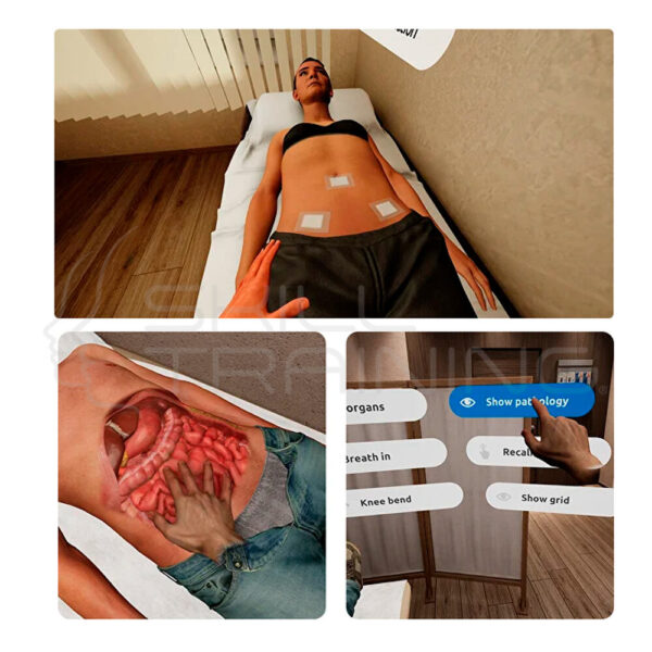Licencia de por Vida para Simulador de Palpacion Abdominal Xr - Imagen 1