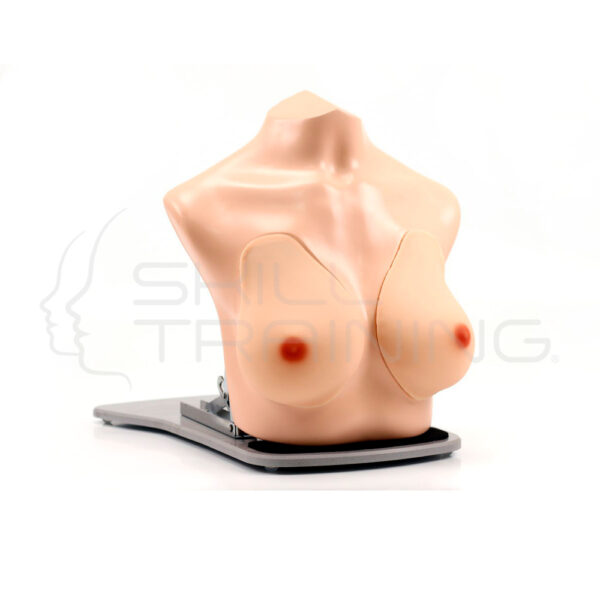 Simulador para Palpacion Mamaria y Diagnostico por Ultrasonido - Imagen 1