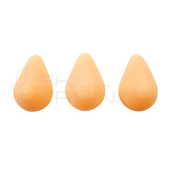 Conjunto de Modelos para Lactancia con Pezon Plano E Invertido - Imagen 1