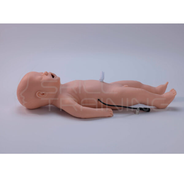 Modelo de Entrenamiento en Manejo de Vías Respiratorias Neonatales - Imagen 1