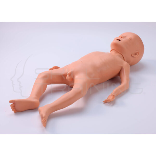 Modelo de Bebe Desnutrido de 10 Meses - Imagen 1