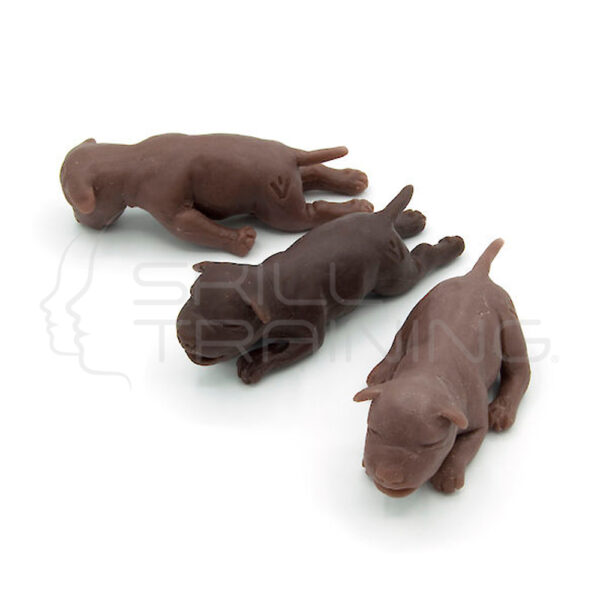 Trío de Cachorros de Parto Ute Schnute Kamisir - Imagen 1