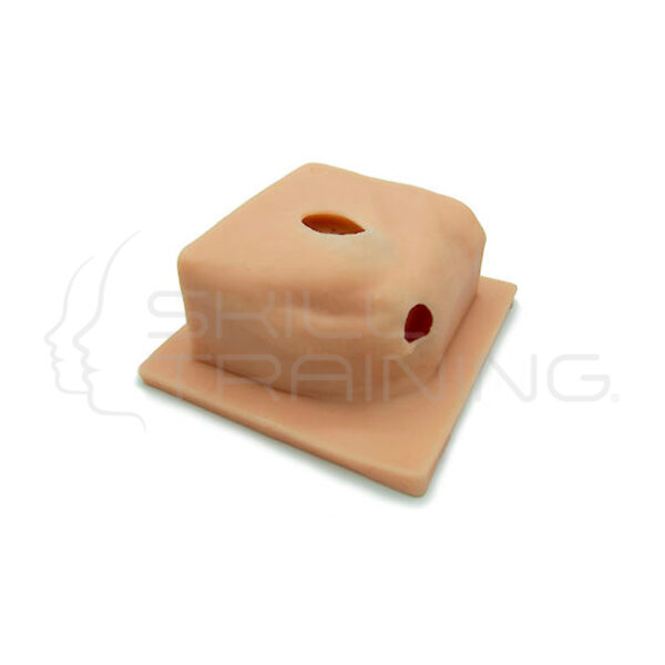 Base de Artroplastia - Imagen 1