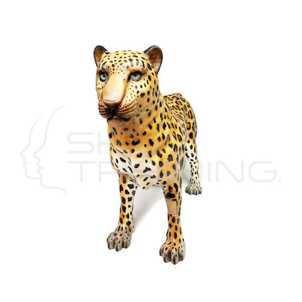 Gynleo Simulador Avanzado de Ginecologia Tigre - Imagen 1