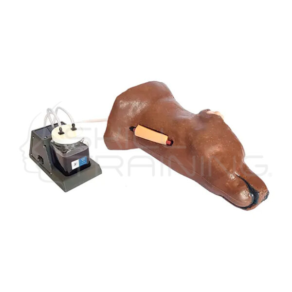 Kit de Extracción de Sangre Yugular - Canino - Imagen 1