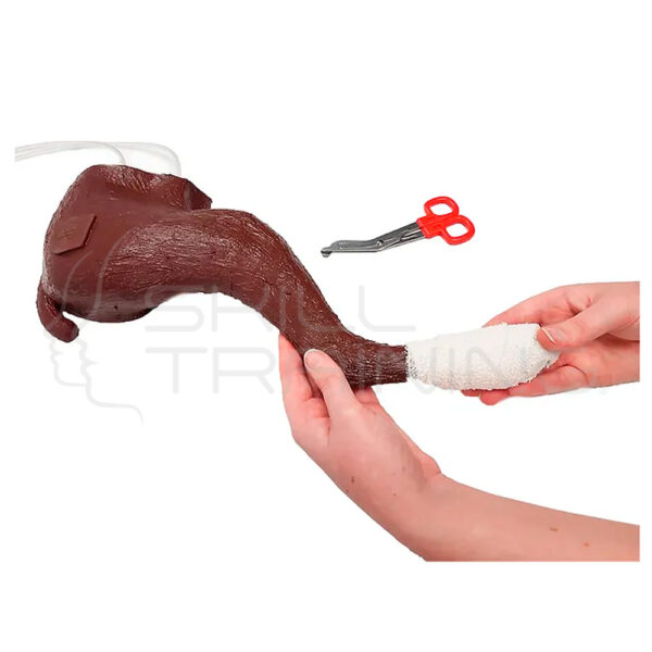 Kit de Vendaje para Pata de Perro - IV - Imagen 1