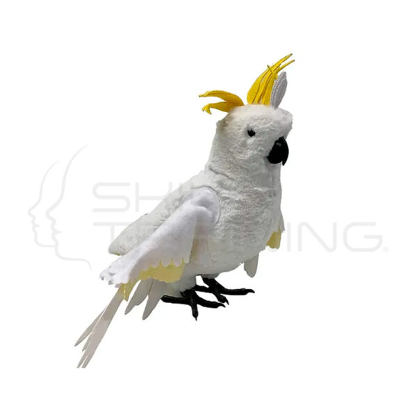 Modelo de Vendaje para Cacatúa - Imagen 1