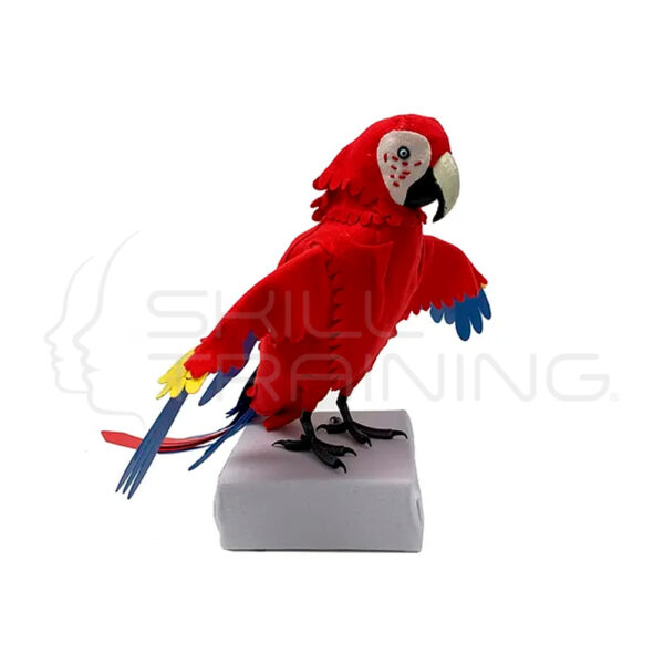 Modelo de Vendaje de Guacamayo Escarlata - Imagen 1