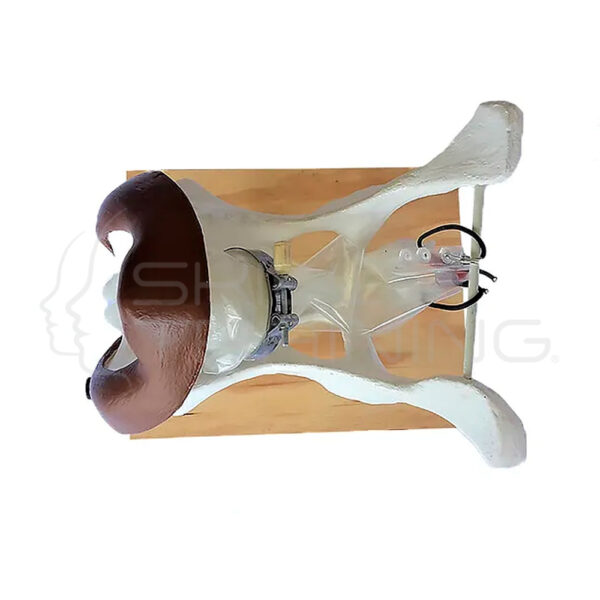 Kit de Tratamiento Métrico - Imagen 1