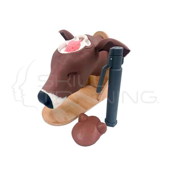 Modelo de Entrenamiento con Perno Cautivo - Imagen 1