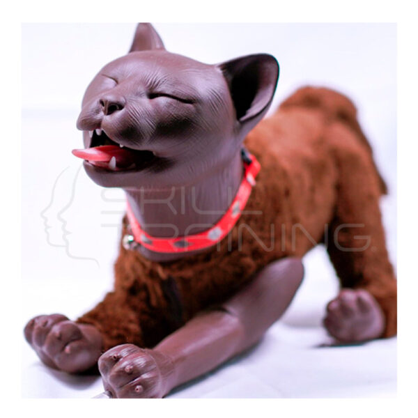Simulador Felino Completo para Cuidados Críticos - Felix - Imagen 1