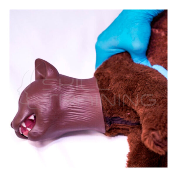 Simulador de RCP Felino - Missy - Imagen 1