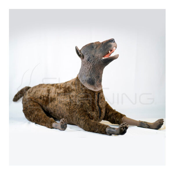 Simulador Canino para Cuidados Críticos y Auscultación – Boss - Imagen 1